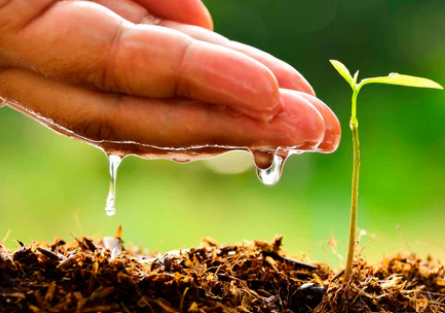 Cuidado del medio ambiente: pequeños cambios, gran&nbsp;impacto