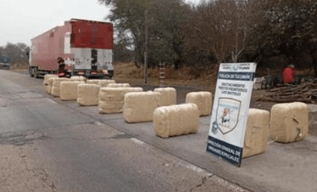 Desactivan producción de más de 3 millones de dosis de marihuana en&nbsp;Trancas