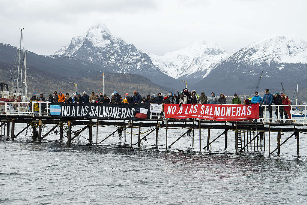 Ambientalistas advierten que derogar la ley anti-salmoneras en Tierra del Fuego podría causar un desastre&nbsp;ecológico
