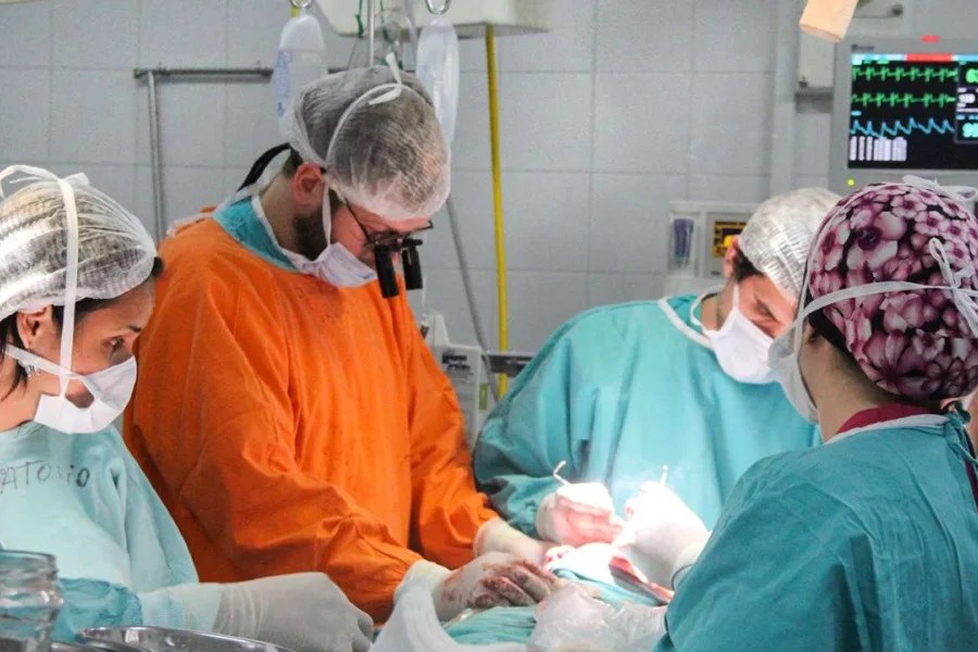 Argentina alcanzó un récord histórico de donación de órganos y trasplantes en&nbsp;2025