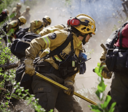 La UCR impulsa tipificar el ecocidio y acusa al Gobierno de subejecutar fondos para&nbsp;incendios